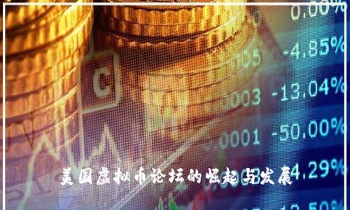 美国虚拟币论坛的崛起与发展