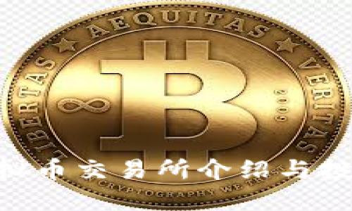 FTX虚拟币交易所介绍与投资指南