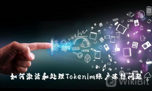 如何激活和处理Tokenim账户冻结问题