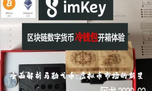 全面解析马勒戈币：虚拟币市场的新星