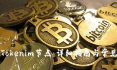 如何设置Tokenim节点：详细指南与常见问题解答