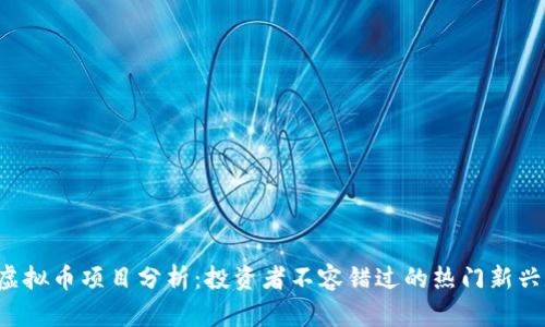 2023年虚拟币项目分析:投资者不容错过的热门新兴数字货币