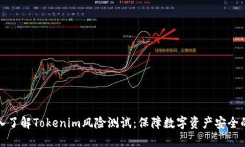 : 深入了解Tokenim风险测试：保障数字资产安全的利器