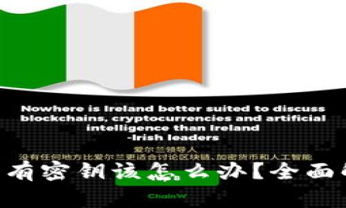 如果Tokenim没有密钥该怎么办？全面解决方案与步骤