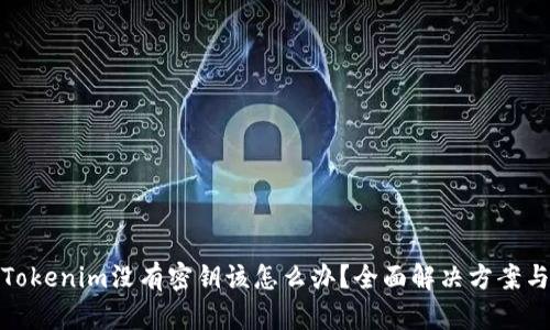 如果Tokenim没有密钥该怎么办？全面解决方案与步骤