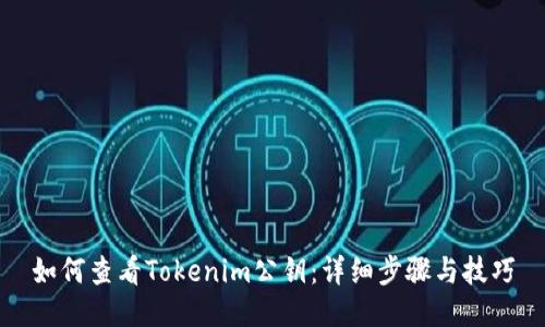 如何查看Tokenim公钥：详细步骤与技巧