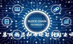 : 暴跌的虚拟币还能升起来吗？