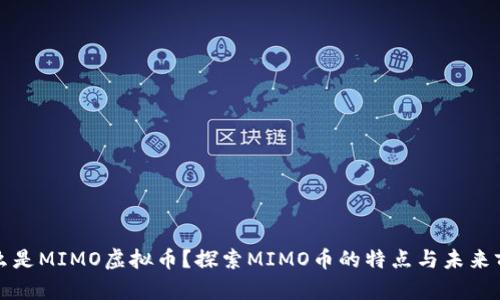 什么是MIMO虚拟币?探索MIMO币的特点与未来前景