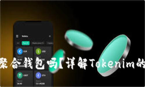 Tokenim是聚合钱包吗？详解Tokenim的功能与特点
