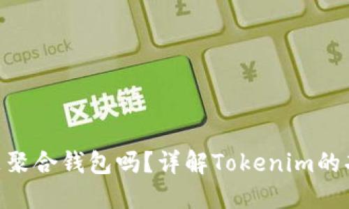 Tokenim是聚合钱包吗？详解Tokenim的功能与特点