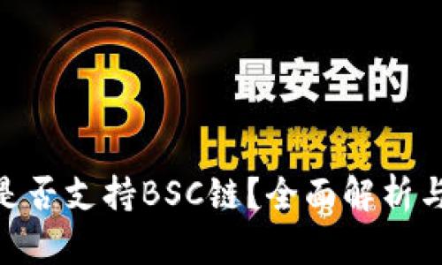 Tokenim是否支持BSC链?全面解析与使用指南
