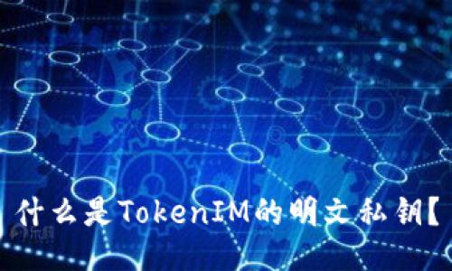 什么是TokenIM的明文私钥?
