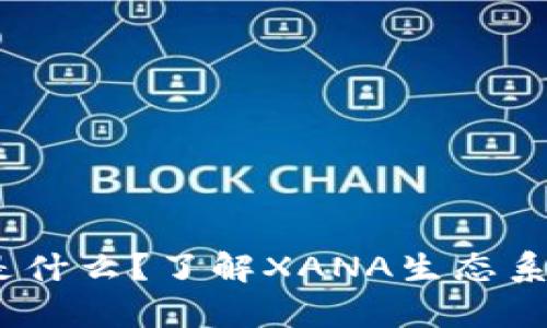 xana虚拟币是什么?了解XANA生态系统与投资前景