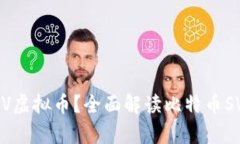 什么是BSV虚拟币？全面解读比特币SV及其前景
