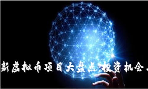 2023年最新虚拟币项目大盘点：投资机会与风险分析