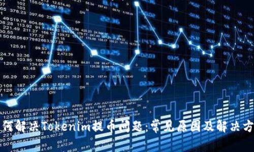 如何解决Tokenim提币问题:常见原因及解决方案
