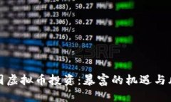 美国虚拟币投资：暴富的机遇与风险