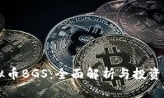虚拟币BGS：全面解析与投资指南