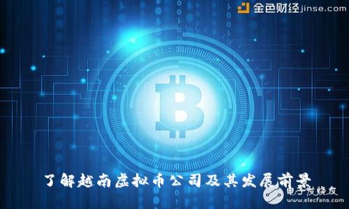 了解越南虚拟币公司及其发展前景