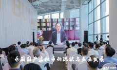币圈国产虚拟币的现状与未来发展