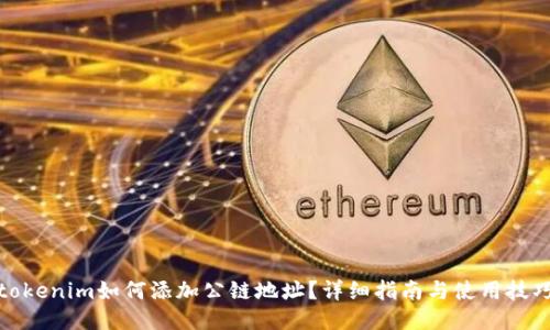 tokenim如何添加公链地址?详细指南与使用技巧