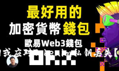 如何找回或应对Tokenim私钥丢失?详尽指南