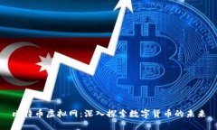 比特币虚拟网：深入探索数字货币的未来