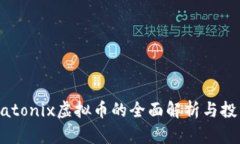 关于Natonix虚拟币的全面解析与投资攻略