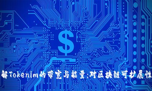 深入了解Tokenim的带宽与能量:对区块链可扩展性的影响