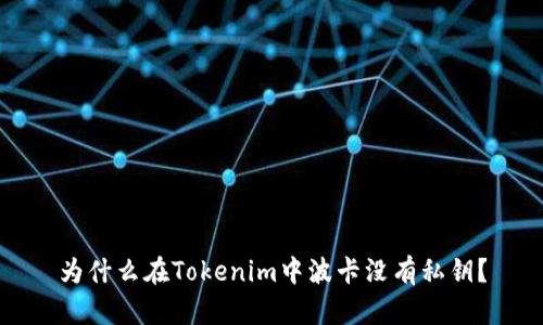 为什么在Tokenim中波卡没有私钥?