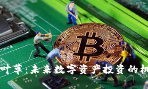 虚拟币四叶草:未来数字资产投资的机遇与挑战