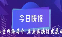   Tokenim主网络简介：未来区块链发展的新机遇