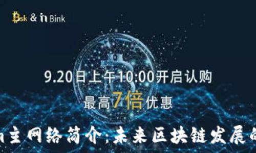 Tokenim主网络简介:未来区块链发展的新机遇