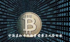 宁海虚拟币的投资前景与风险分析