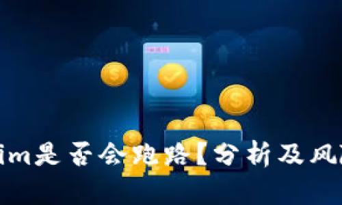 Tokenim是否会跑路？分析及风险评估