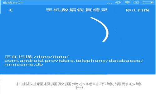 Tokenim是否受国内监管?详细解析与解读