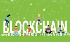 Tokenim能放比特币吗？探索Tokenim与比特币的关系
