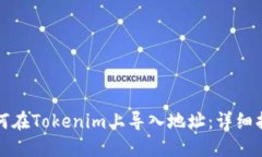 如何在Tokenim上导入地址：详细指导