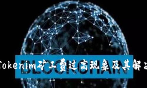 理解Tokenim矿工费过高现象及其解决方案