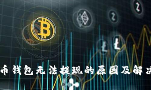 虚拟币钱包无法提现的原因及解决方法