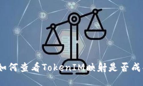 : 如何查看TokenIM映射是否成功?