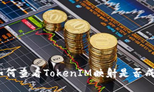 : 如何查看TokenIM映射是否成功?