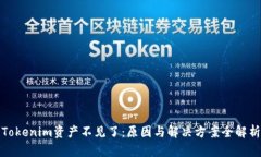Tokenim资产不见了：原因与解决方案全解析