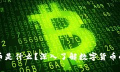 虚拟币是什么？深入了解数字货币的世界