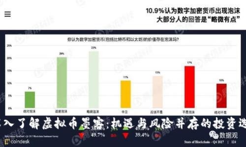 深入了解虚拟币墨客:机遇与风险并存的投资选择
