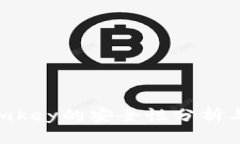 Tokenimimkey的安全性分析与最佳实践