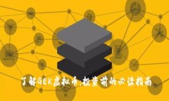 了解GEK虚拟币：投资前的必读指南