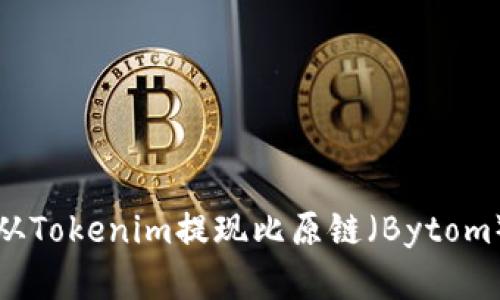 如何从Tokenim提现比原链(Bytom)资产