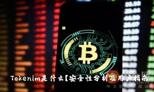 Tokenim是什么?安全性分析及用户指南