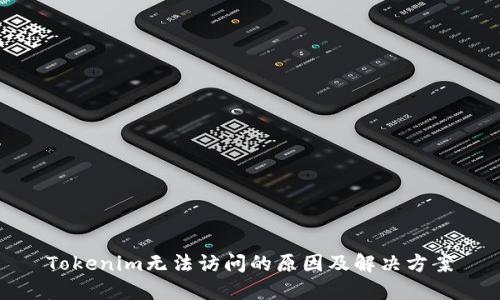 Tokenim无法访问的原因及解决方案